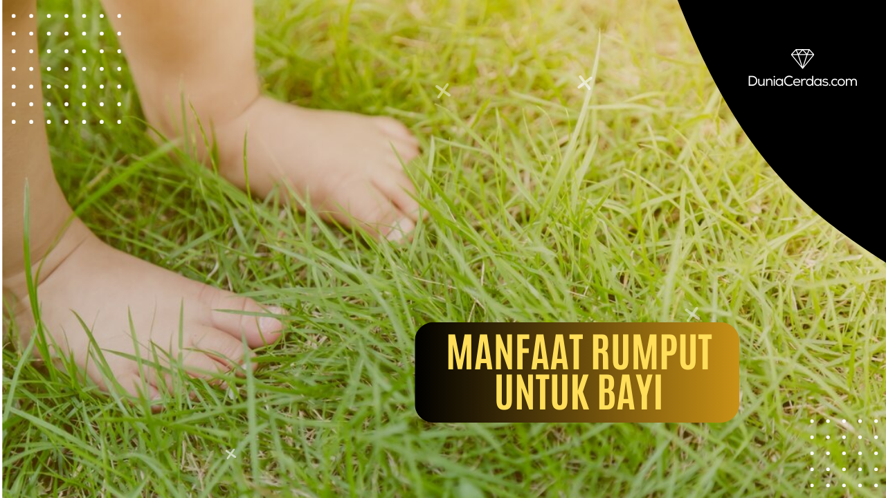 Manfaat Rumput Manfaat Menginjak Rumput Untuk Bayi Ternyata Baik Sekali - Dunia Cerdas
