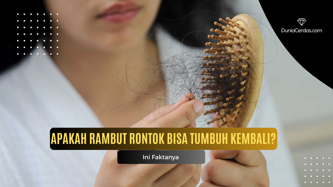 Normalnya Rambut Rontok Apakah Rambut Rontok Bisa Tumbuh Kembali? Ini Faktanya - Dunia Cerdas
